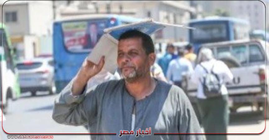 أخبار مصر 2050