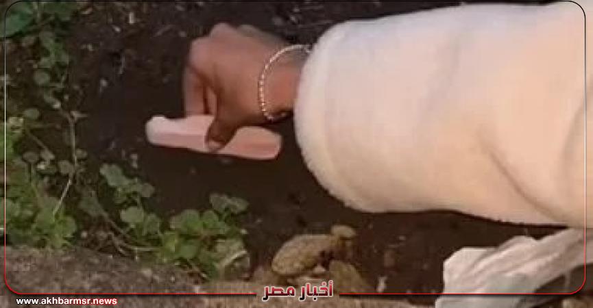 أخبار مصر 2050