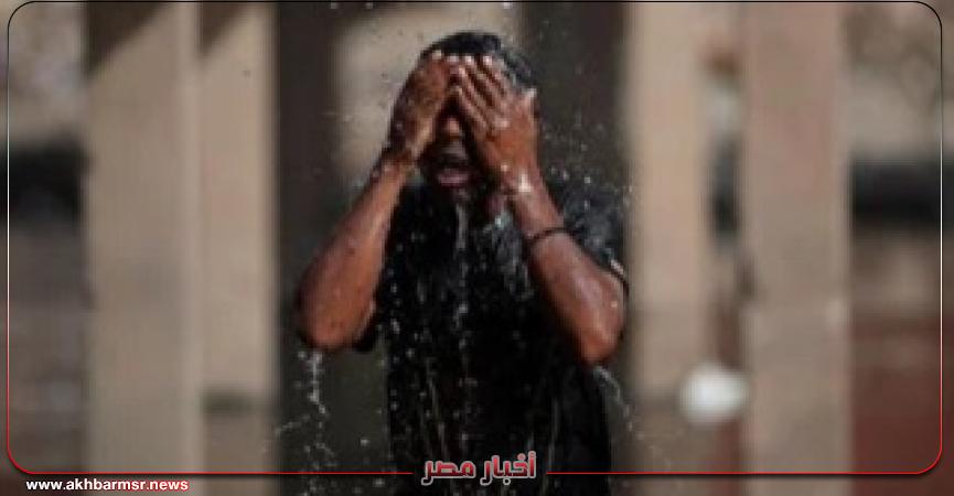 أخبار مصر 2050
