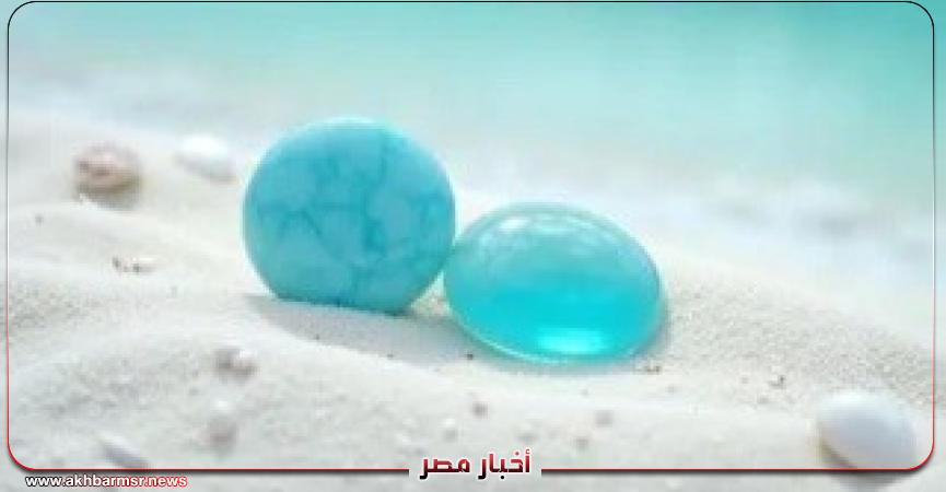 أخبار مصر 2050