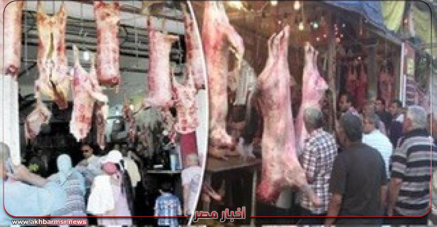 أخبار مصر 2050