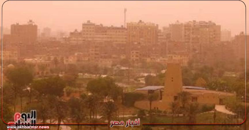 أخبار مصر 2050