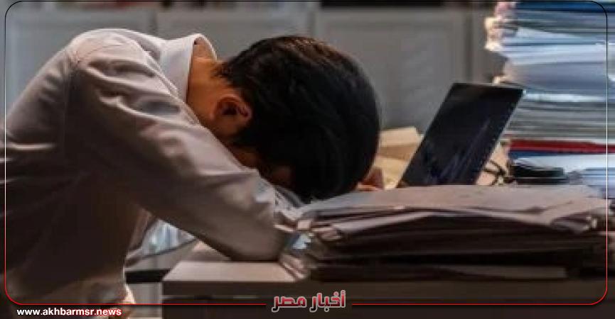 أخبار مصر 2050