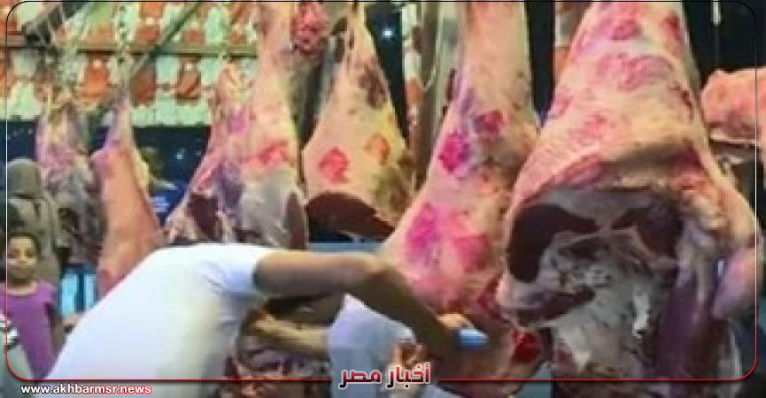 أخبار مصر 2050