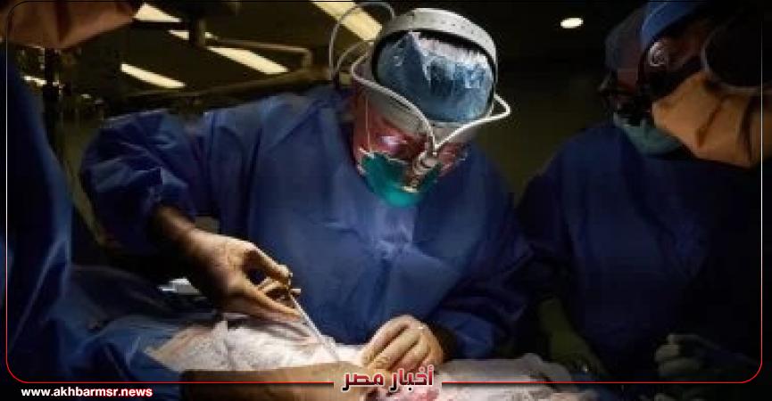 أخبار مصر 2050