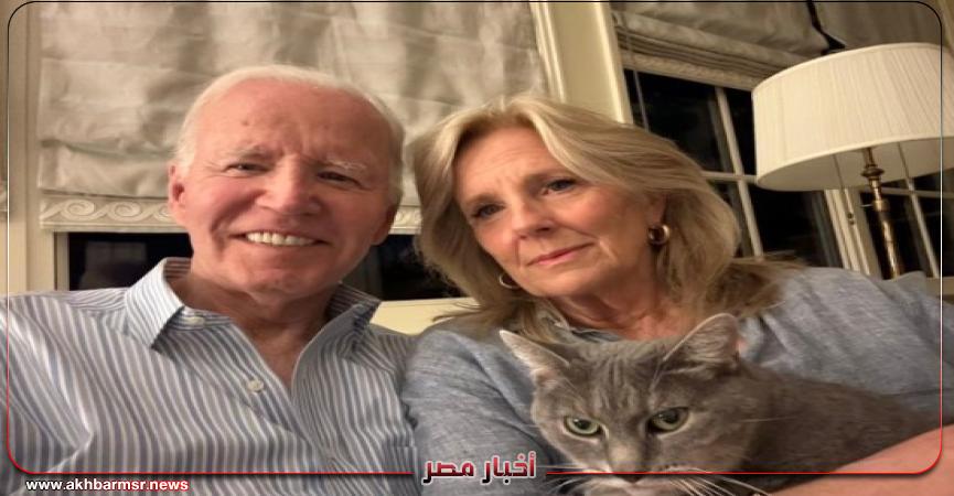 أخبار مصر 2050