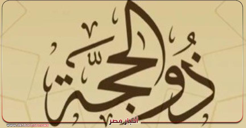 أخبار مصر 2050