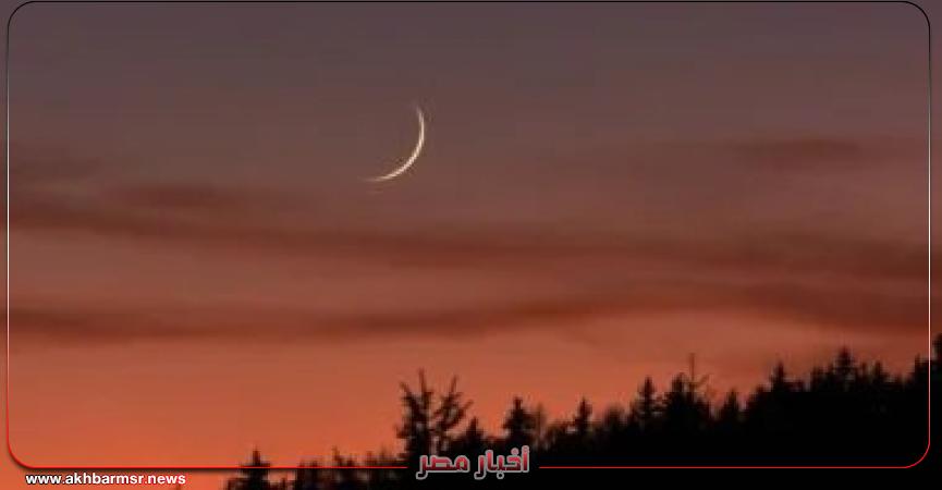 أخبار مصر 2050
