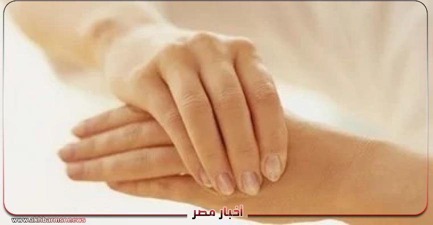 أخبار مصر 2050
