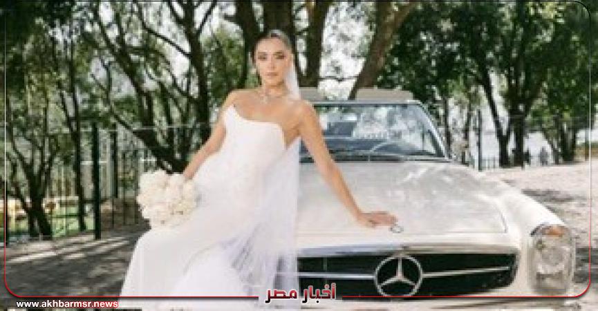 أخبار مصر 2050
