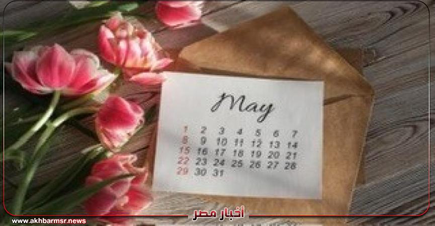 أخبار مصر 2050