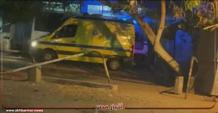 أخبار مصر 2050