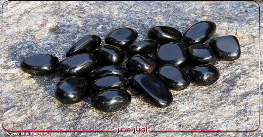 أخبار مصر 2050