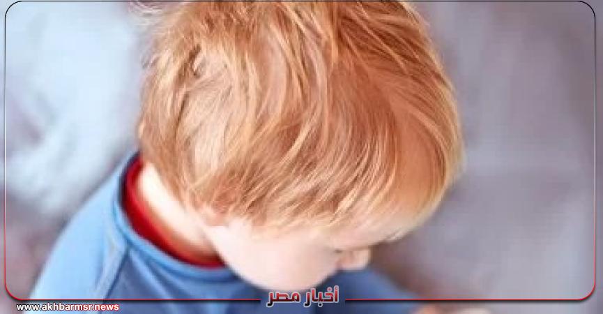 أخبار مصر 2050