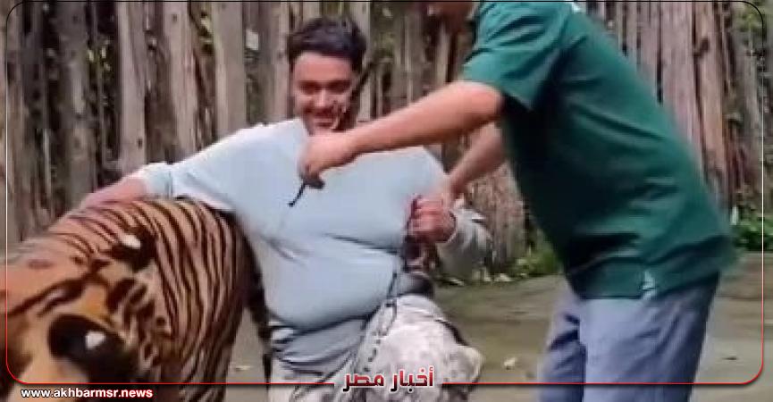 أخبار مصر 2050