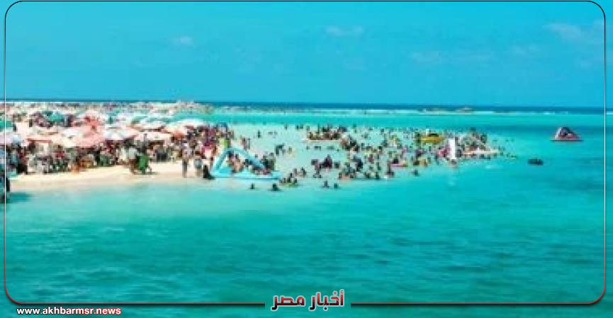أخبار مصر 2050