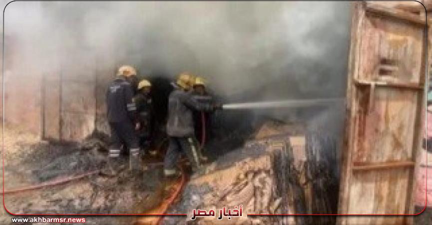أخبار مصر 2050