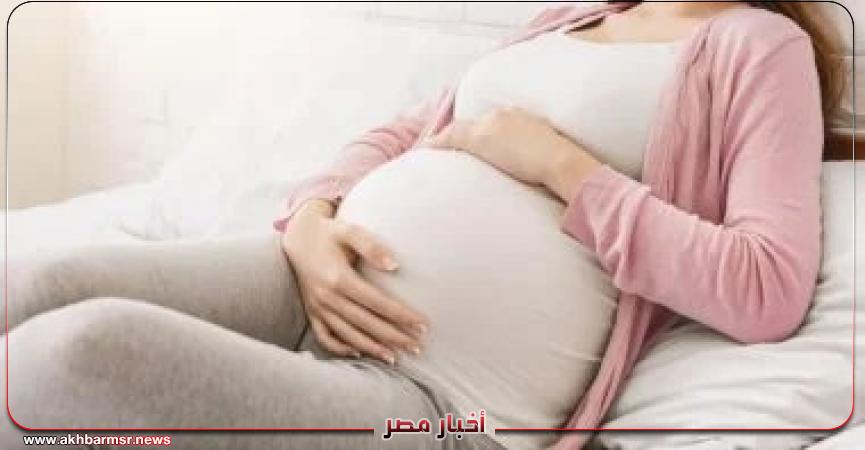 أخبار مصر 2050