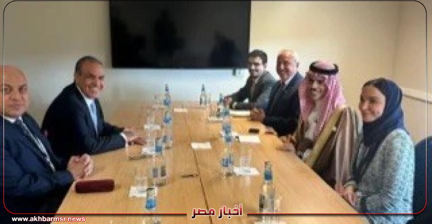 أخبار مصر 2050