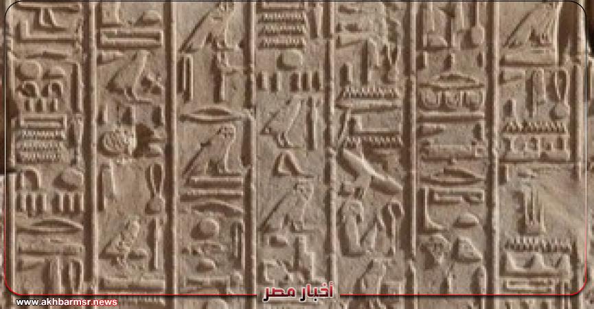 أخبار مصر 2050