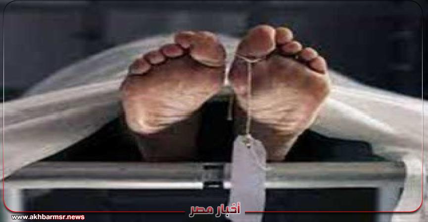 أخبار مصر 2050