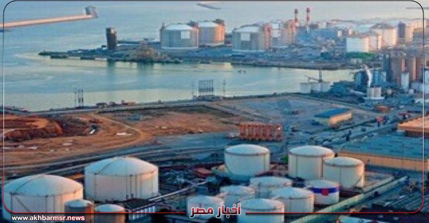 أخبار مصر 2050