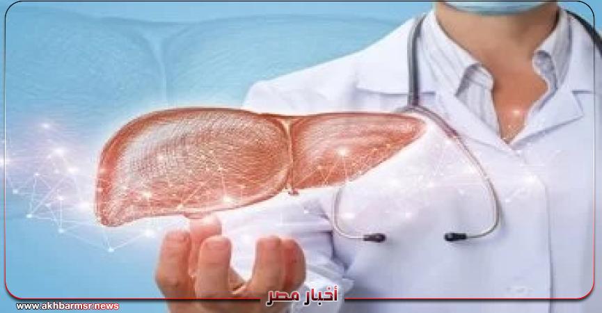 أخبار مصر 2050