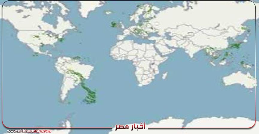 أخبار مصر 2050