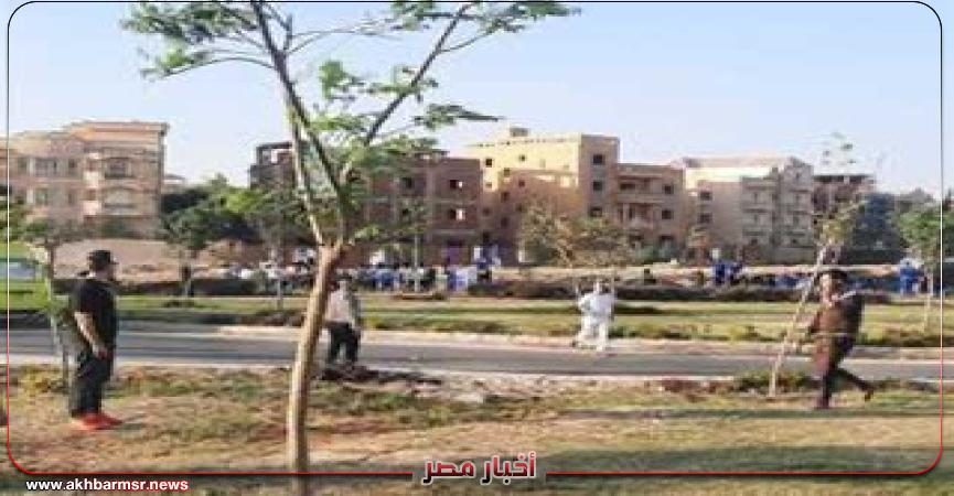 أخبار مصر 2050