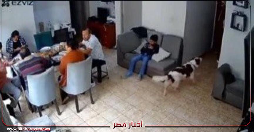 أخبار مصر 2050