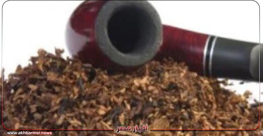 أخبار مصر 2050
