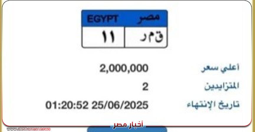 أخبار مصر 2050