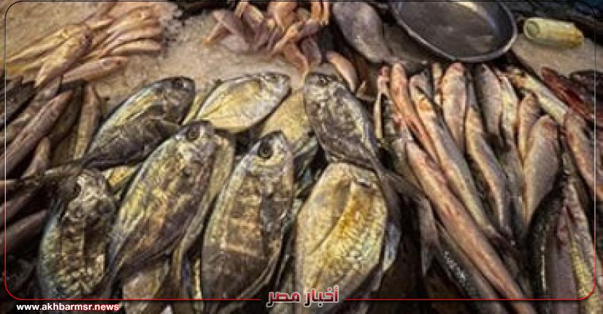 أخبار مصر 2050