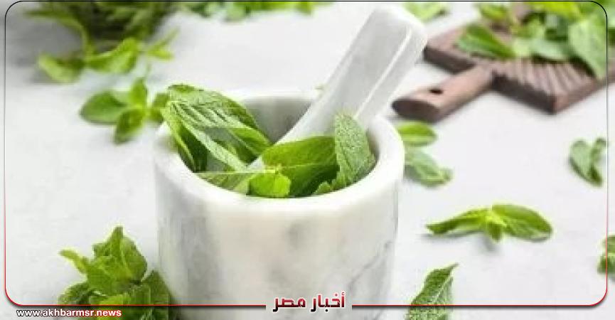 أخبار مصر 2050
