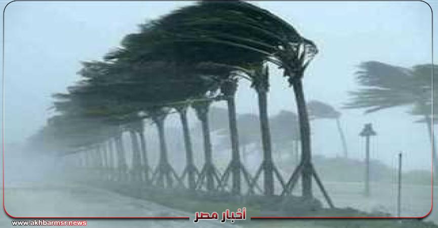 أخبار مصر 2050