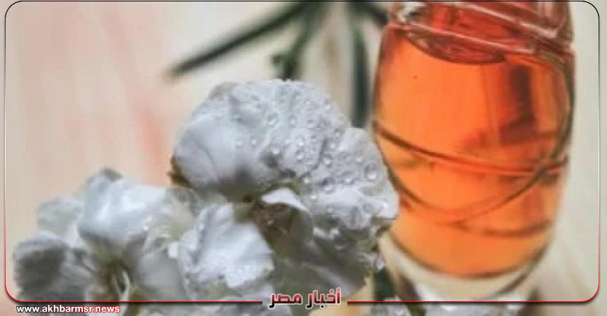 أخبار مصر 2050