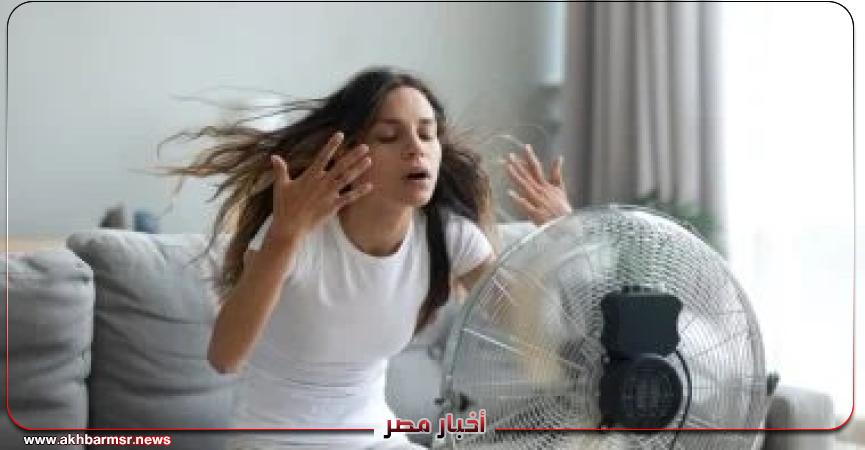 أخبار مصر 2050