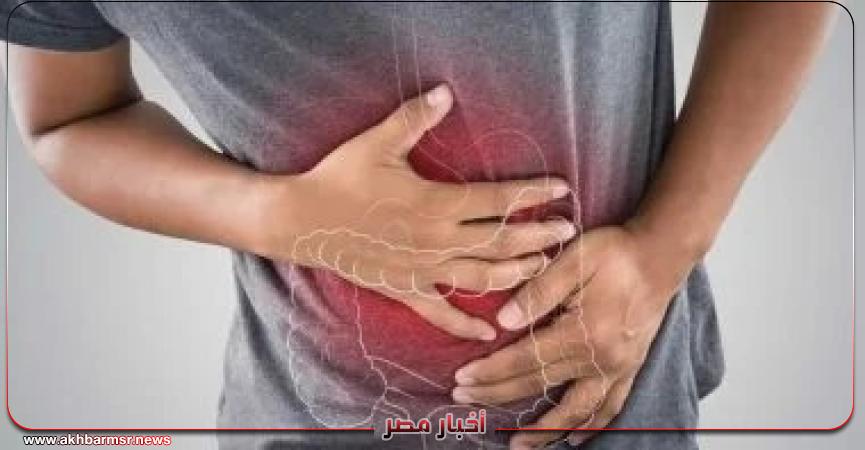 أخبار مصر 2050