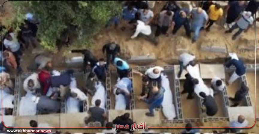 أخبار مصر 2050