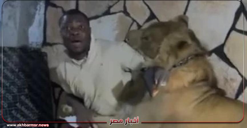 أخبار مصر 2050