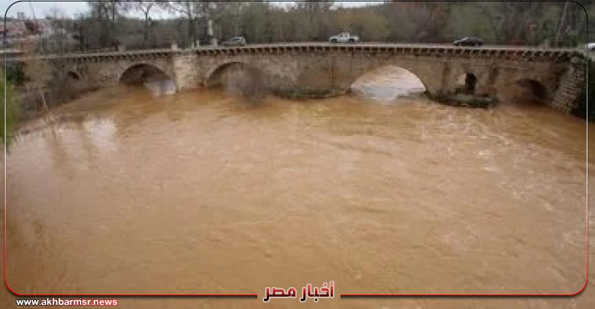 أخبار مصر 2050