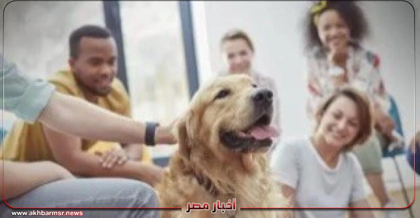 أخبار مصر 2050