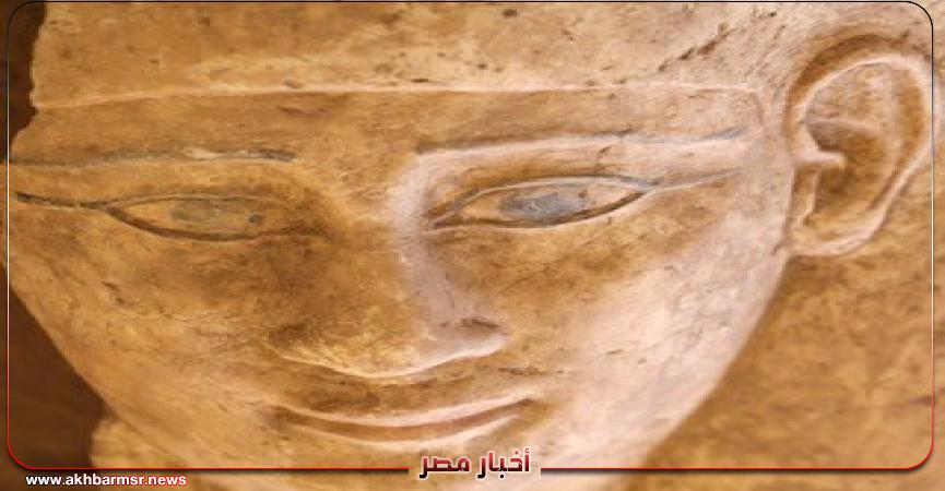 أخبار مصر 2050