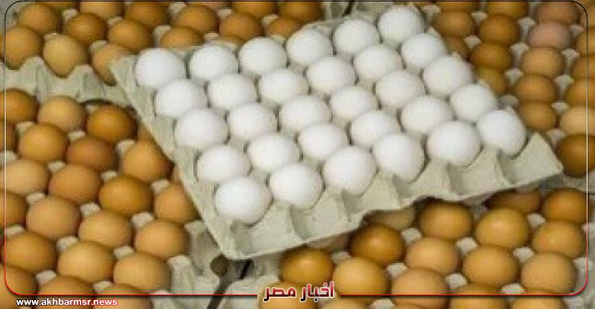 أخبار مصر 2050