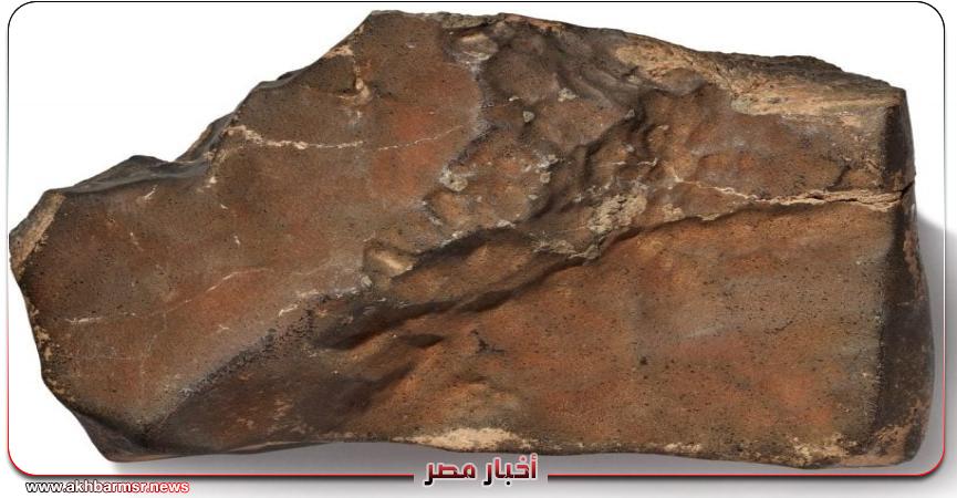 أخبار مصر 2050