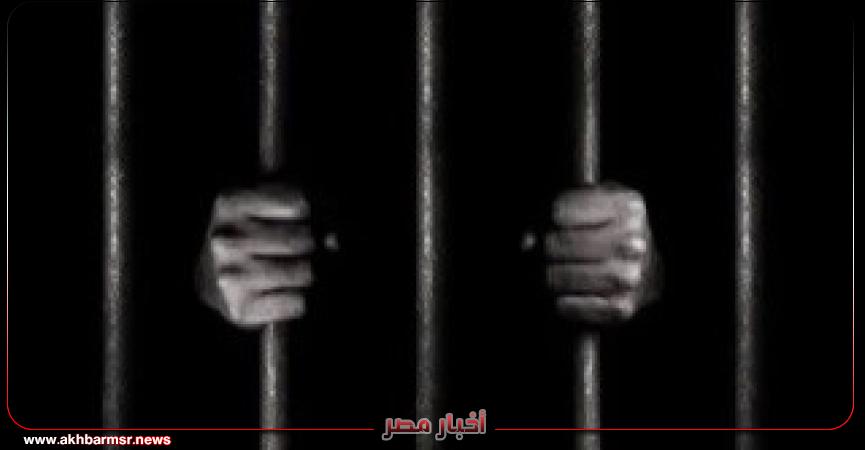 أخبار مصر 2050