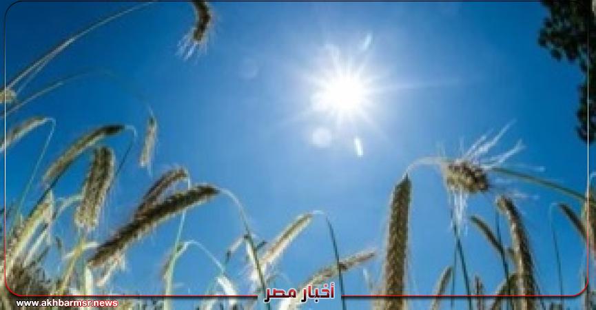 أخبار مصر 2050