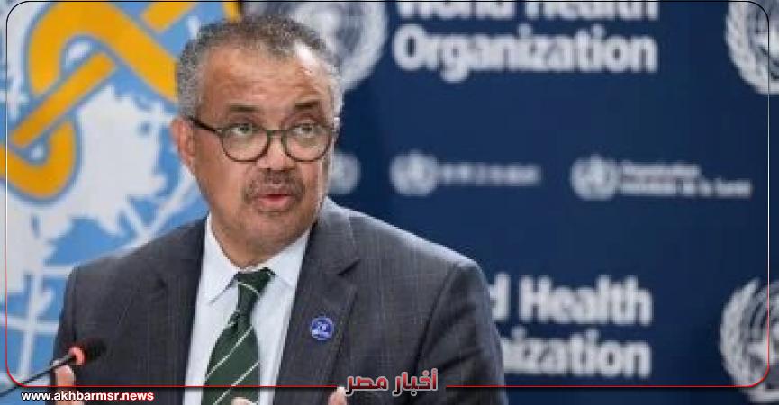 أخبار مصر 2050