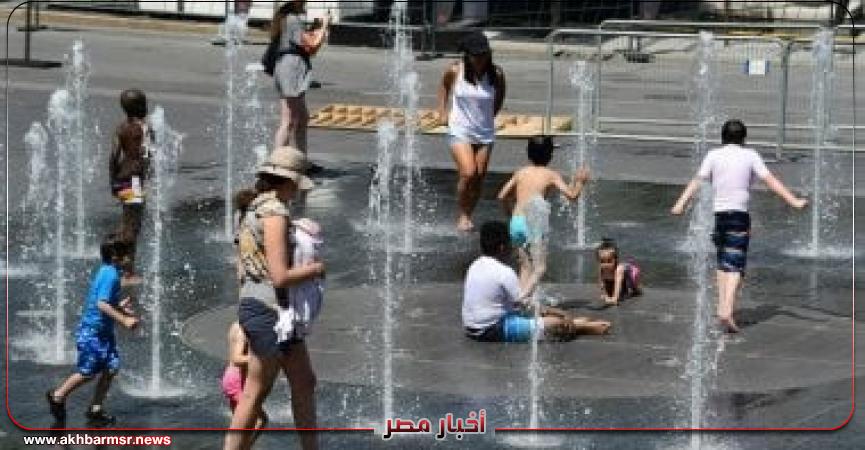 أخبار مصر 2050