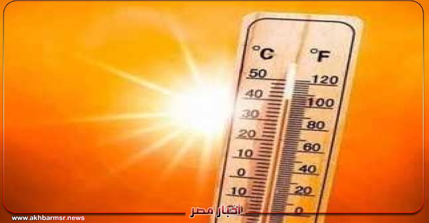 أخبار مصر 2050